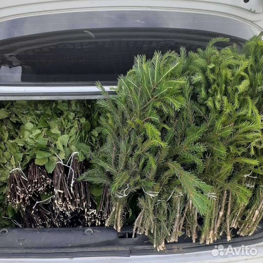 Веники березовые