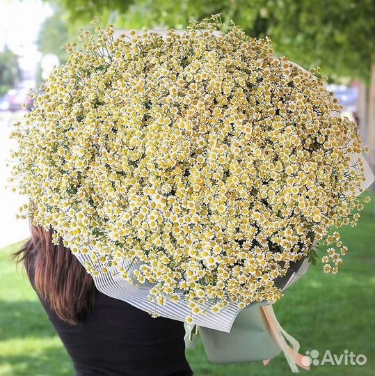 Ромашки букет
