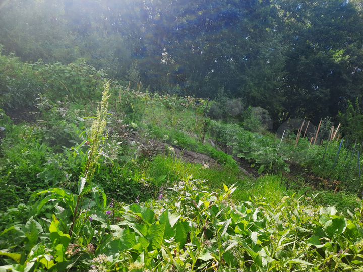 Дача 18 м² на участке 6 сот.