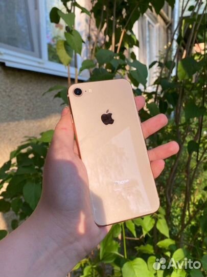 iPhone 8 64gb