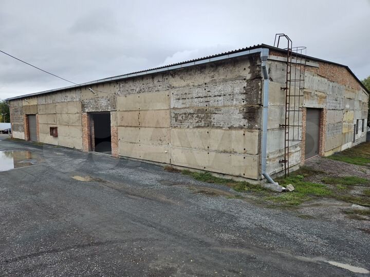 Свободного назначения, 1500 м²