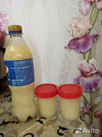 Жир Барсука