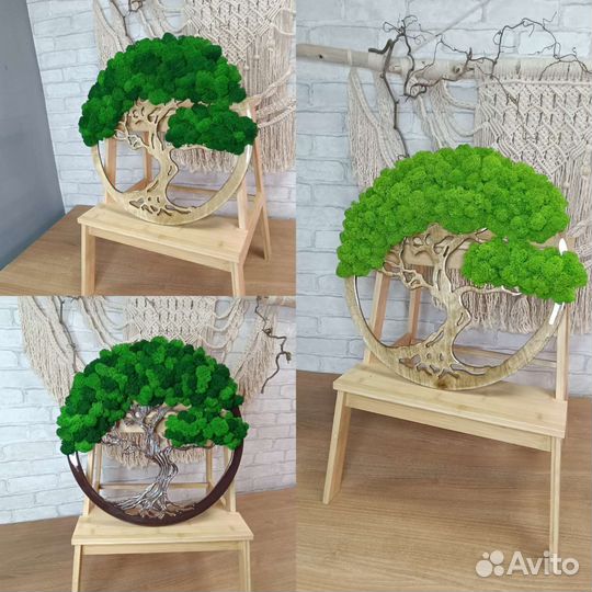 Панно из стабилизированного мха в наличии