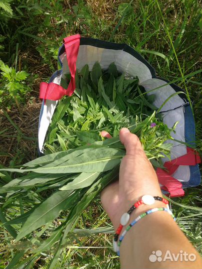 Иван чай ферментированный