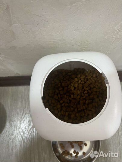 Автоматическая кормушка для кошек и собак