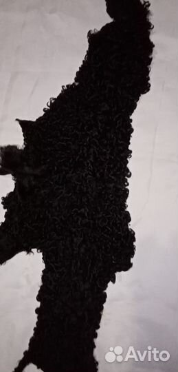 Шкурки каракуля