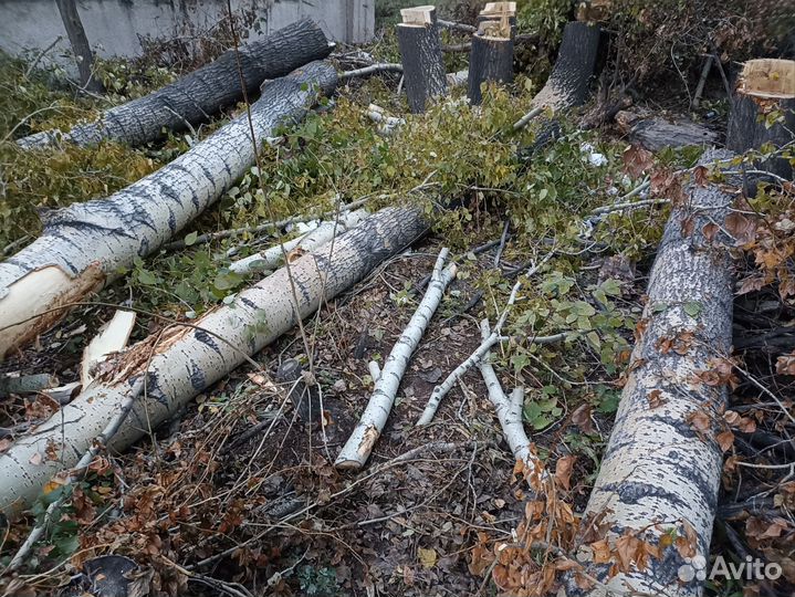 Тополя, дрова, самовывоз