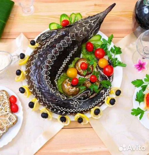 Царская Рыба живая