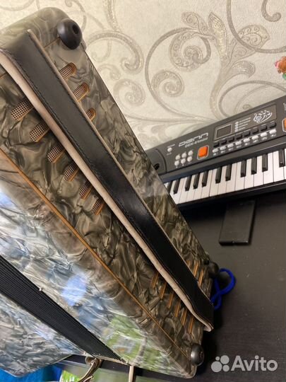 Аккордеон weltmeister германия