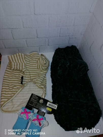 Одежда для маленькой собачки