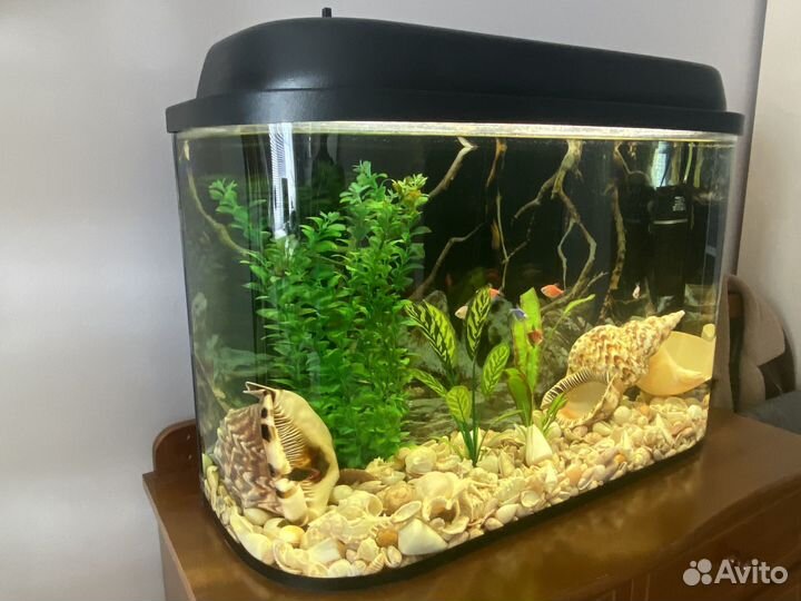 Аквариум для рыбок 85л