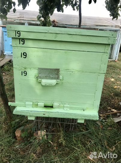 Пчелы с ульями