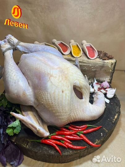 Домашняя индейка. Доставим до дома