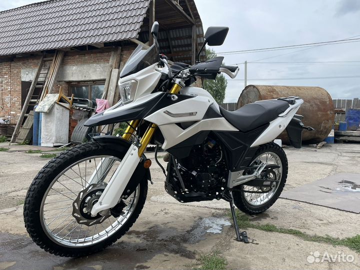 Racer ranger GY8