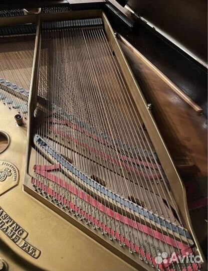 1923 Steinway Grand Model OX Piano рояль