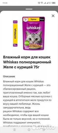 Корм для кошек