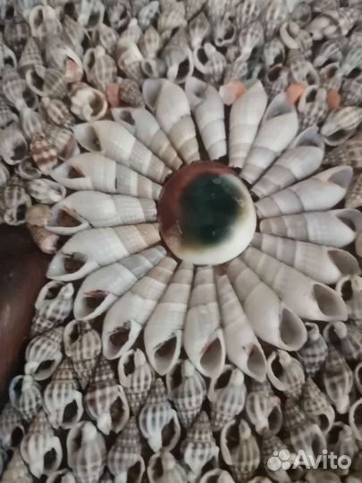 Сова картина из ракушек