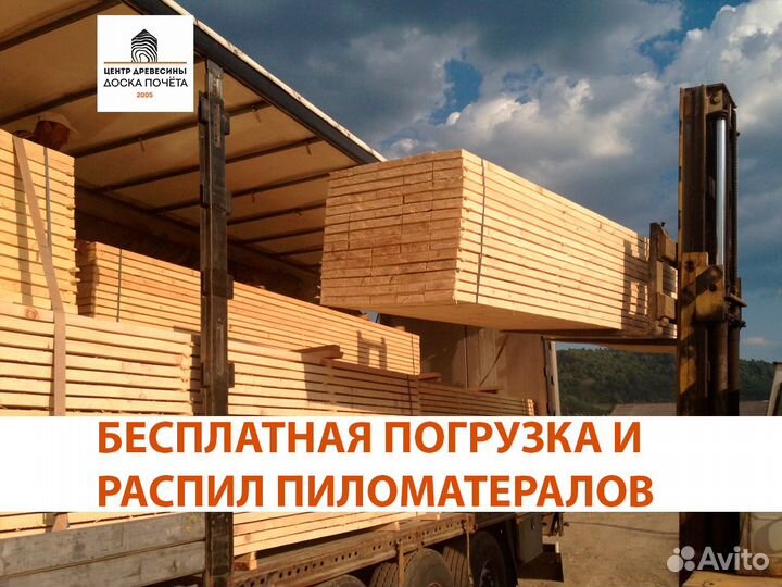 Дверное полотно на клине хвоя банная