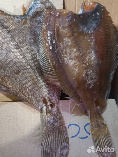 Камбала ерш вяленый и филе ерша