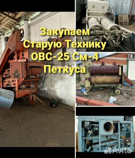 Зерно Пшеница Ячмень