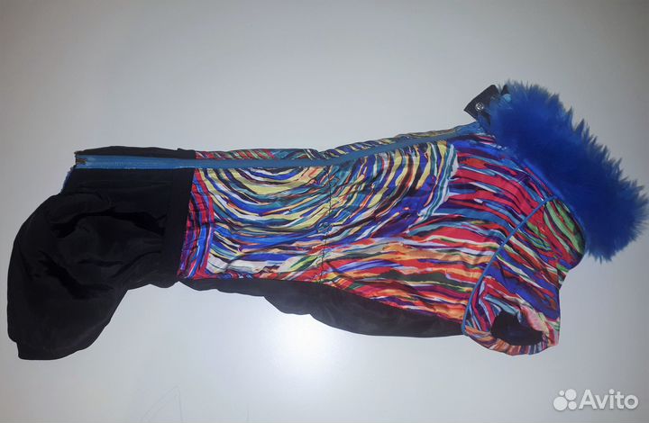 Комбинезон для таксы ForMyDogs