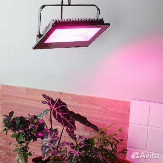 Фитопрожектор