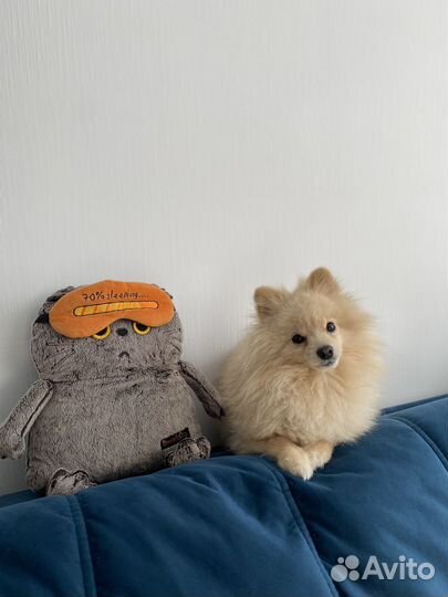 Вязка собак