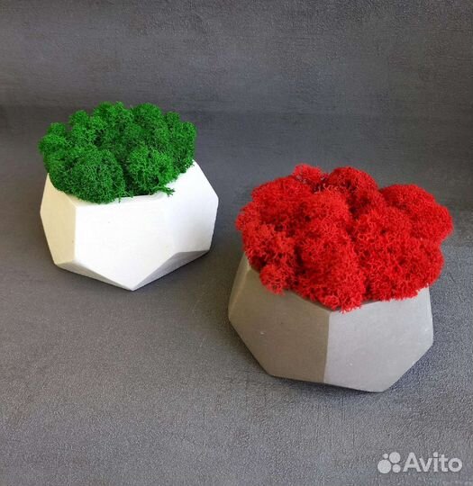 Кашпо из гипса и бетона