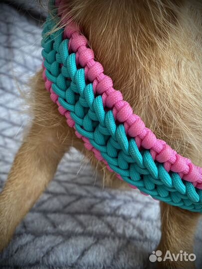 Ошейник из паракорда