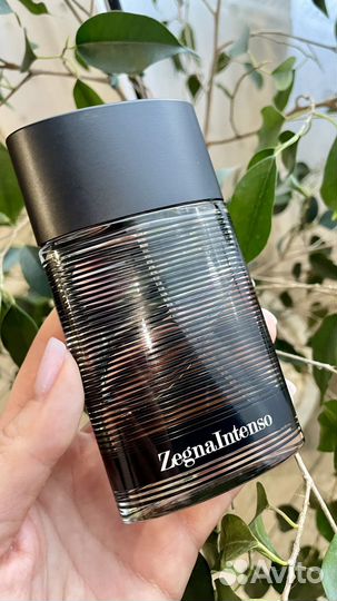 Ermenegildo zegna Intenso (Зейна Интенсо)