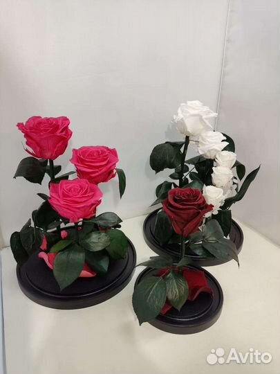 Роза в колбе