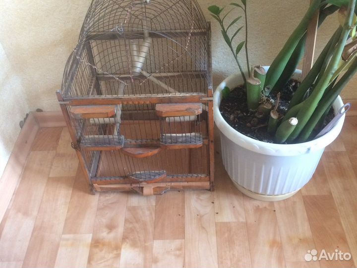 Клетка большая,читаем описание