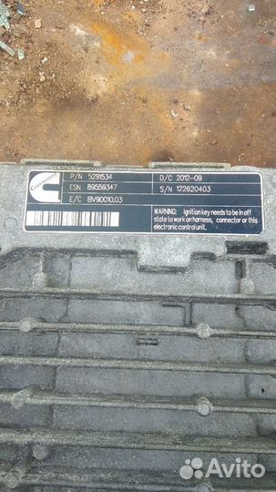 Эбу (мозги) continental на двигатель cummins