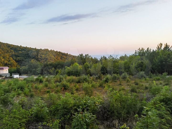 Участок 11 сот. (СНТ, ДНП)