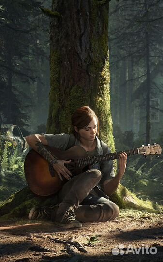 The last of us part 2, PS4/PS5