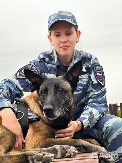 Дрессировка собак Бутово, Потапово, Гавриково