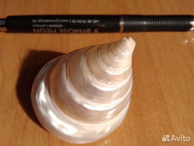 Ракушка нильского трохуса