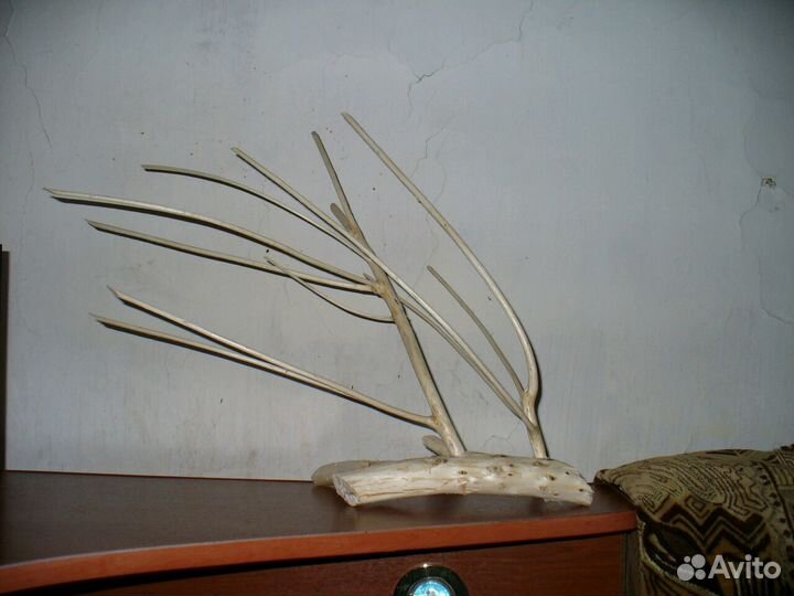 Коряги для аквариума, террариума