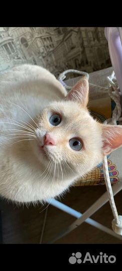 Ищем потерялся