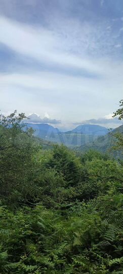 Участок 6 сот. (СНТ, ДНП)