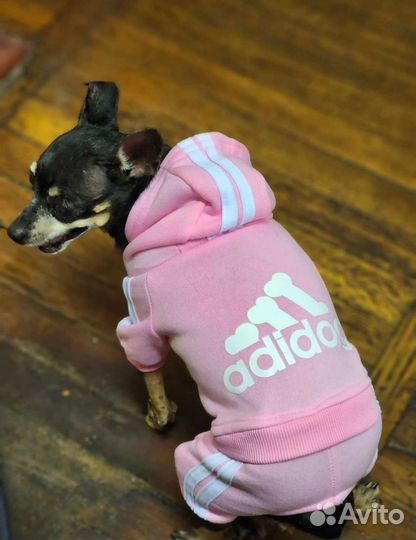 Одежда для домашних собак маленьких пород