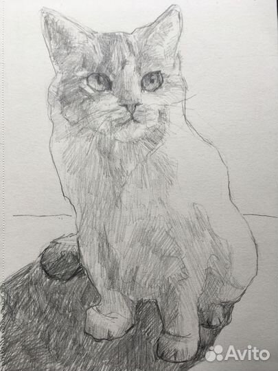 Рисую ваших питомцев