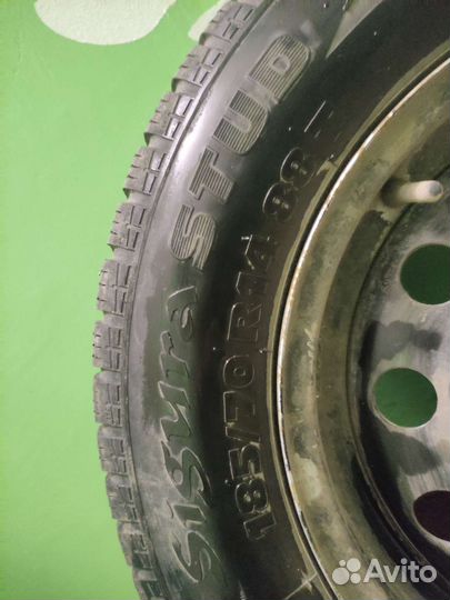 Tigar Sigura Stud 185/70 R14