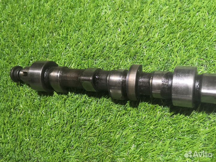 Распредвал Skoda Fabia 1 AZE