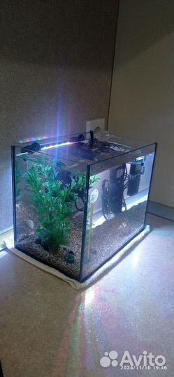 Аквариум с рыбками
