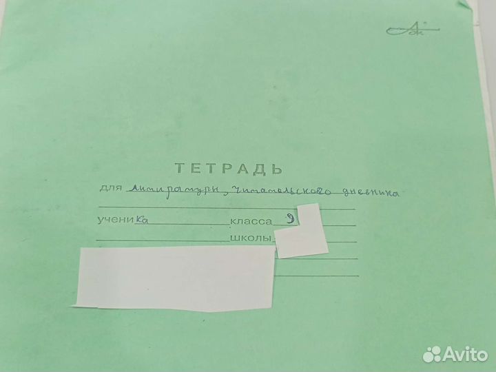 Читательский дневник по программе 9 класса