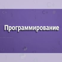 Решение задач по математике, физике, проге и химии, Санкт-Петербург