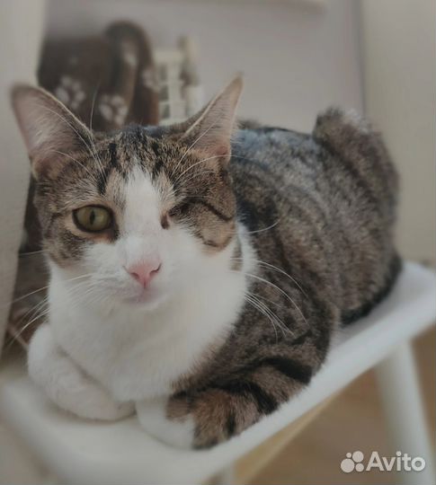 Нежная малышка Нюта