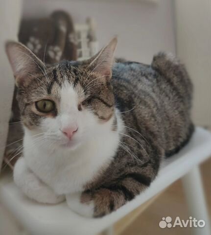 Нежная малышка Нюта