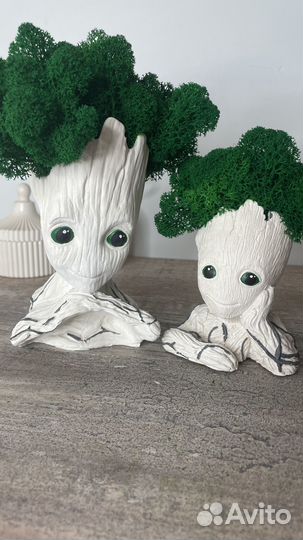 Кашпо со мхом Грут большой